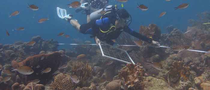 Freshwater & Marine Biology