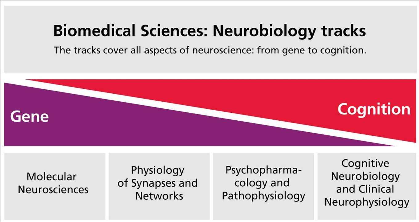 Curriculum schema Neurobiology 2018-2019