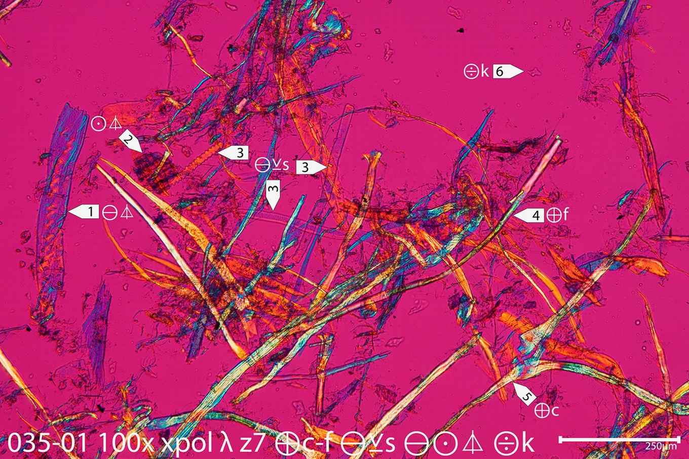 Paper sample fibre analysis