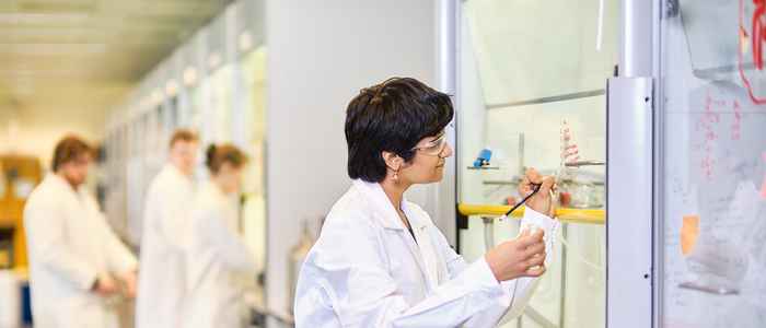 Students in a lab writing equations on a transparent board
